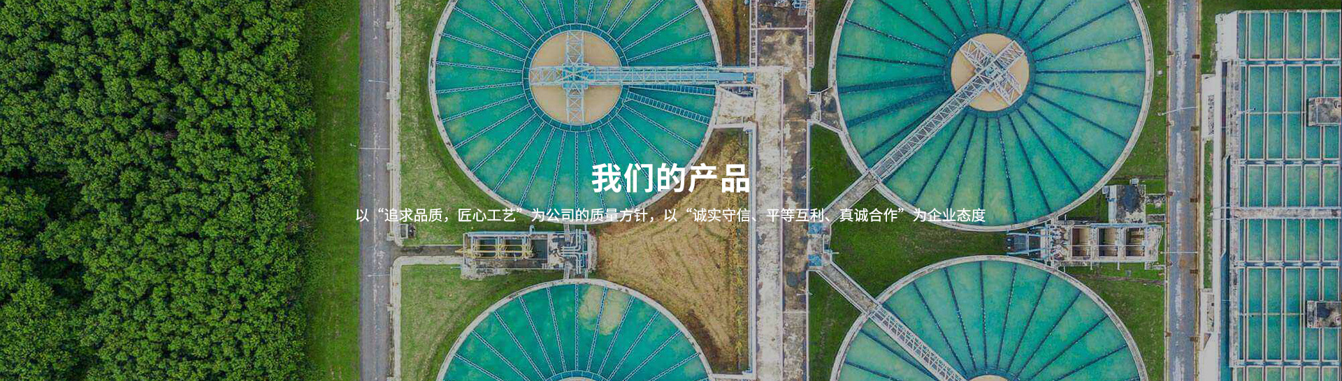 衛(wèi)生級(jí)閥門,衛(wèi)生級(jí)止回閥,不銹鋼卡箍
